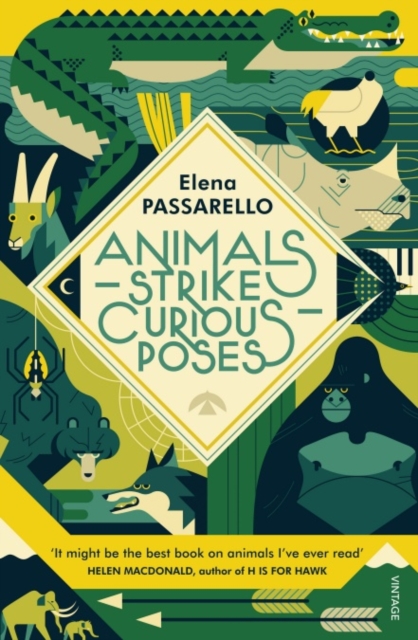 Animals Strike Curious Poses, Paperback / softback Book