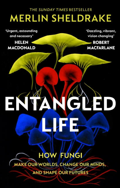 Entangled Life : The phenomenal Sunday Times bestseller exploring how fungi make our worlds, change our minds and shape our futures, Paperback / softback Book