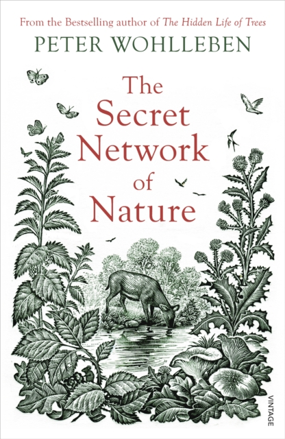 The Secret Network of Nature : The Delicate Balance of All Living Things, Paperback / softback Book