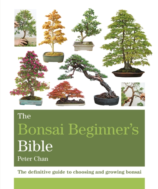 The Bonsai Beginner's Bible : The definitive guide to choosing and growing bonsai, Paperback / softback Book