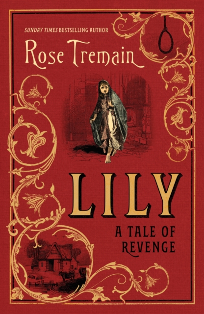 Lily : A Tale of Revenge from the Sunday Times bestselling author, Hardback Book