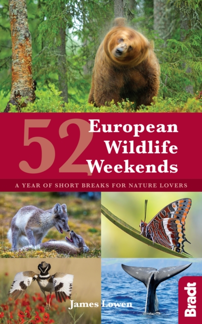 52 European Wildlife Weekends : A year of short breaks for nature lovers, EPUB eBook
