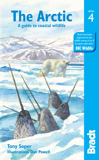 Arctic : A guide to coastal wildlife, Paperback / softback Book
