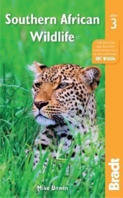 Southern African Wildlife, Paperback / softback Book