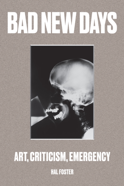 Bad New Days : Art, Criticism, Emergency, EPUB eBook