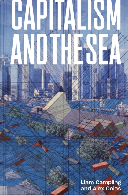 Capitalism and the Sea : The Maritime Factor in the Making of the Modern World, Hardback Book