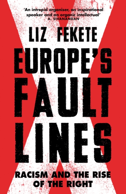 Europe's Fault Lines, EPUB eBook
