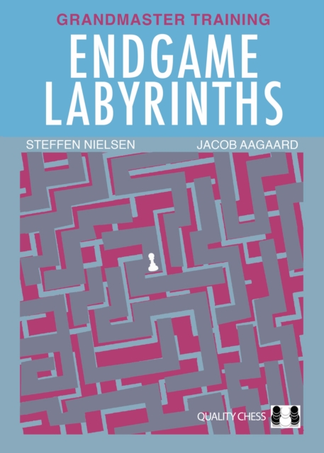 Endgame Labyrinths, Paperback / softback Book