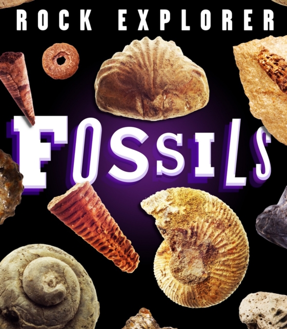 Rock Explorer: Fossils, Paperback / softback Book