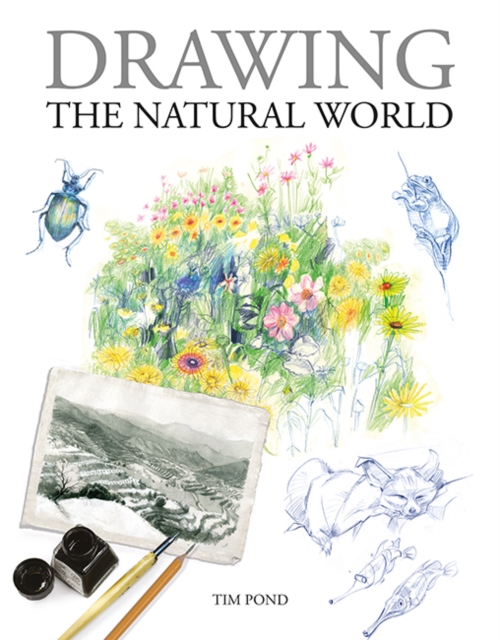 Drawing the Natural World, Paperback / softback Book