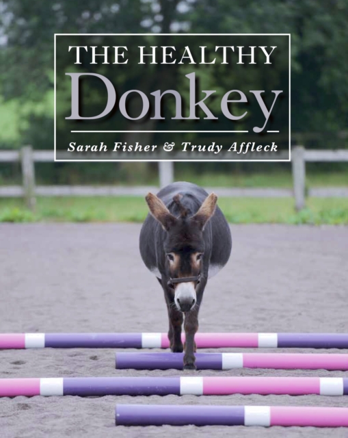 The Healthy Donkey, Hardback Book