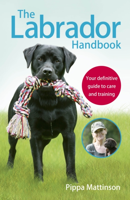 The Labrador Handbook : The definitive guide to training and caring for your Labrador, Paperback / softback Book
