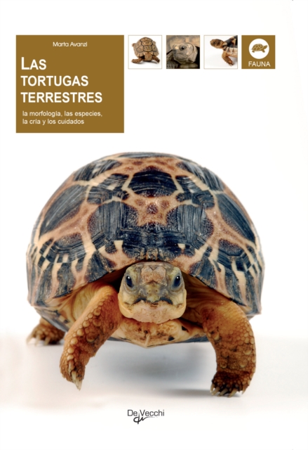 Las tortugas terrestres, EPUB eBook