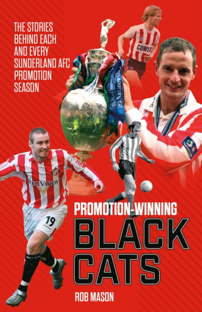 Promotion Winning Black Cats : The Stories Behind Each and Every Sunderland AFC Promotion Season, EPUB eBook