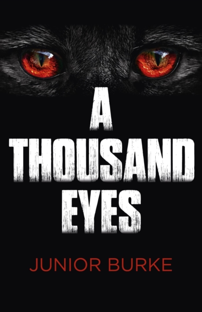 A Thousand Eyes, EPUB eBook