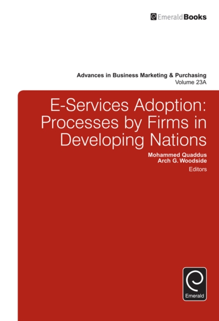 E-Services Adoption : Processes by Firms in Developing Nations, EPUB eBook