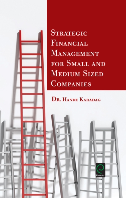 Strategic Financial Management for Small and Medium Sized Companies, EPUB eBook