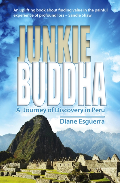 Junkie Buddha, PDF eBook