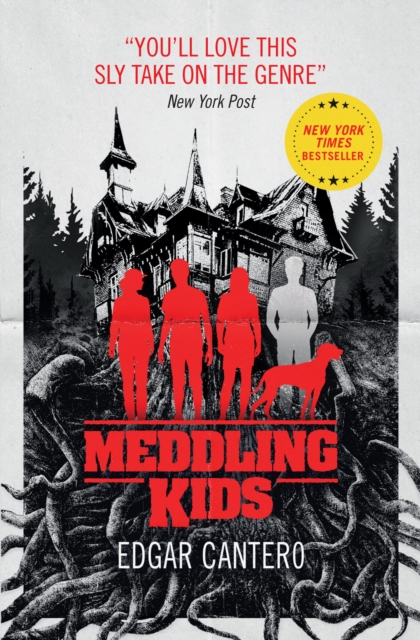 Meddling Kids, EPUB eBook