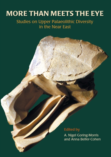 More than Meets the Eye : Studies on Upper Palaeolithic Diversity in the Near East, PDF eBook