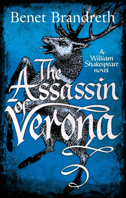 The Assassin of Verona, Hardback Book