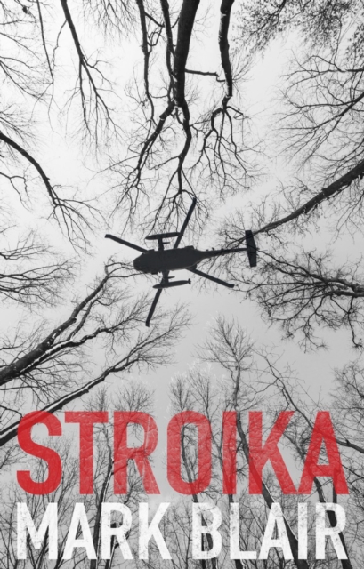 Stroika, EPUB eBook