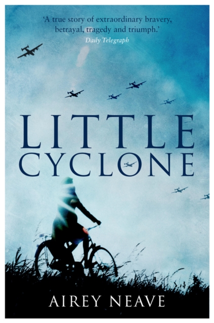 Little Cyclone, EPUB eBook