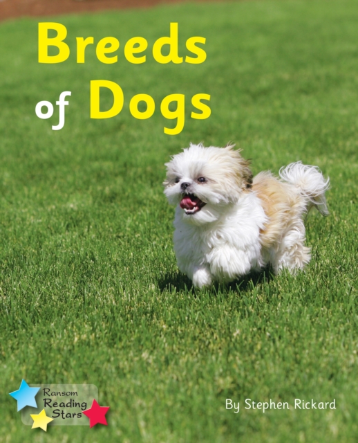 Breeds of Dogs : Phonics Phase 4, PDF eBook