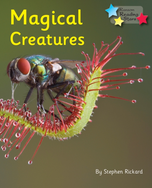 Magical Creatures : Phonics Phase 5, PDF eBook