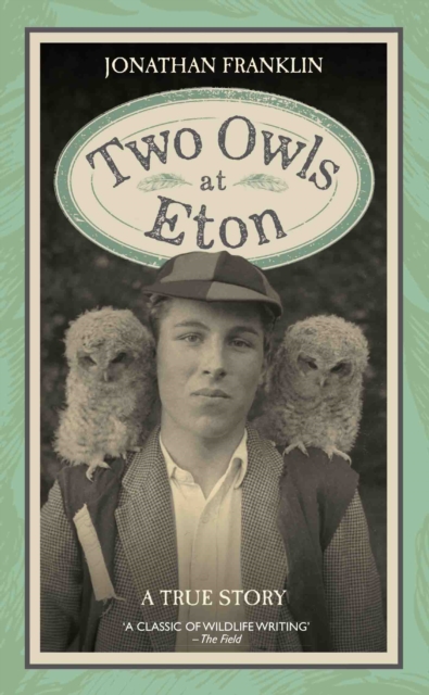 Two Owls at Eton - A True Story, Hardback Book