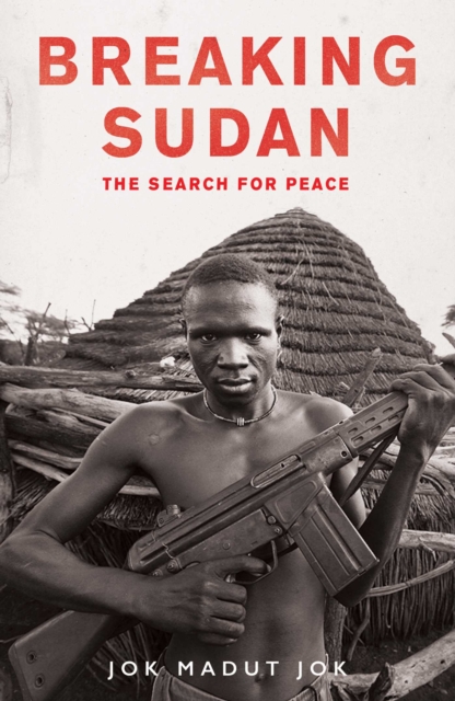 Breaking Sudan : The Search for Peace, EPUB eBook