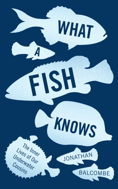What a Fish Knows : The Inner Lives of Our Underwater Cousins, EPUB eBook