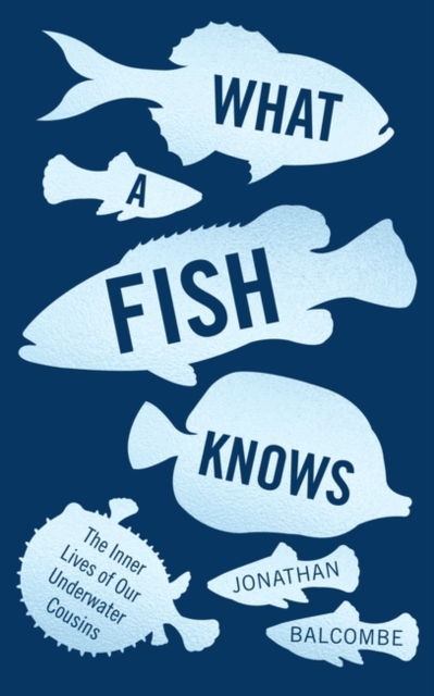 What a Fish Knows : The Inner Lives of Our Underwater Cousins, Paperback / softback Book