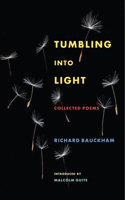 Tumbling Into Light : Collected Poems, EPUB eBook