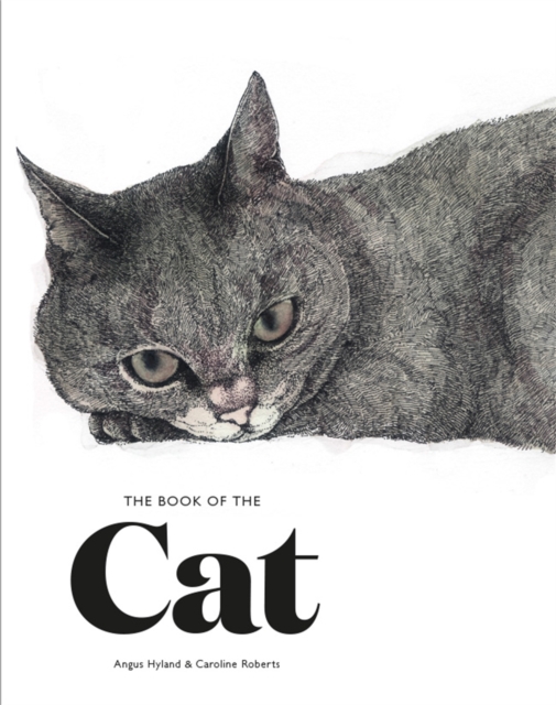 The Book of the Cat : Cats in Art, Paperback / softback Book