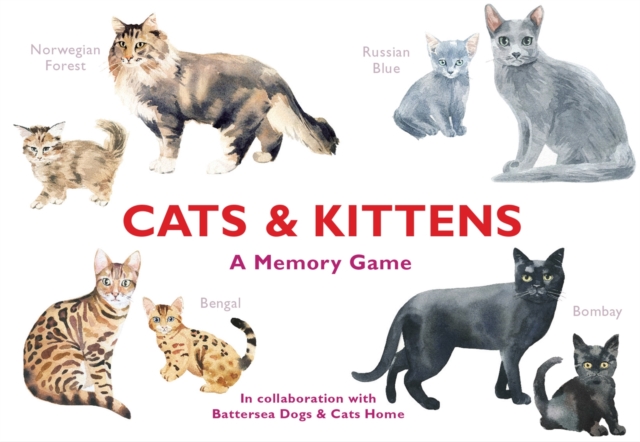 Cats & Kittens : A Memory Game, Cards Book