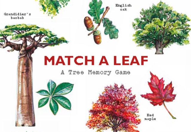 Match a Leaf : A Tree Memory Game, Cards Book