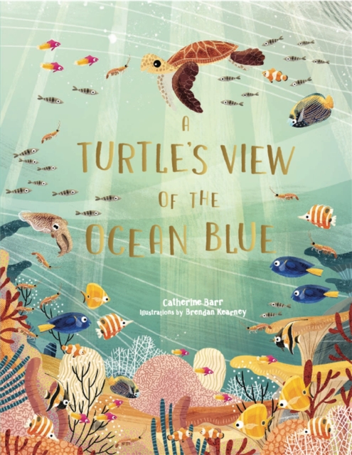 A Turtle's View of the Ocean Blue, Hardback Book