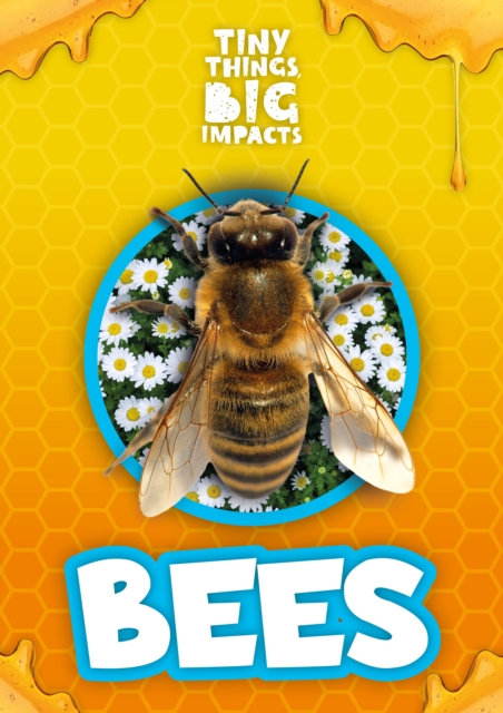 Bees, Hardback Book