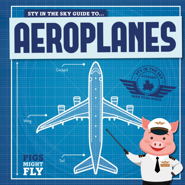 Aeroplanes, Hardback Book