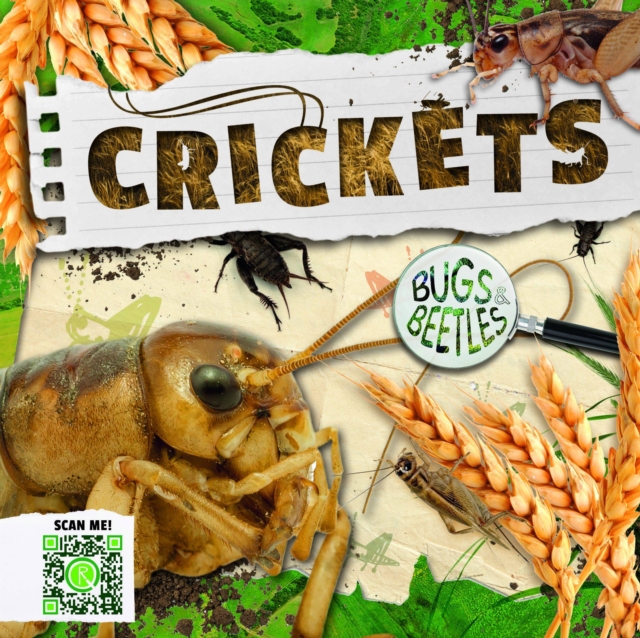 Crickets, Hardback Book