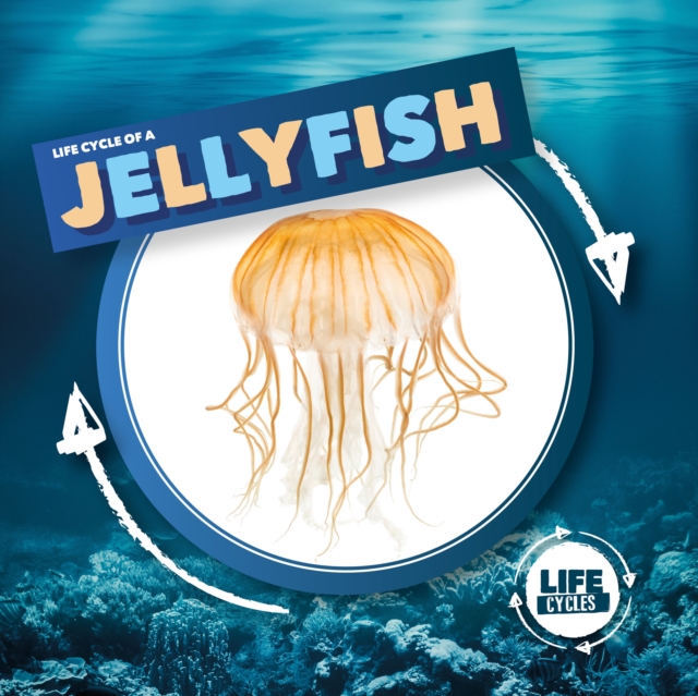 Jellyfish, Hardback Book