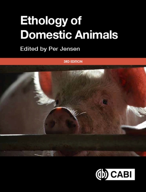 The Ethology of Domestic Animals : An Introductory Text, Paperback / softback Book