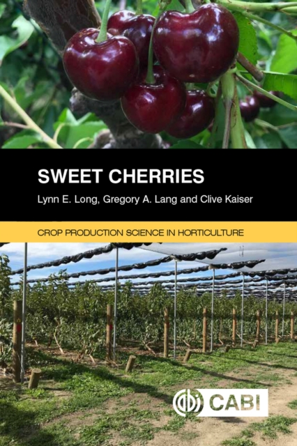 Sweet Cherries, Paperback / softback Book