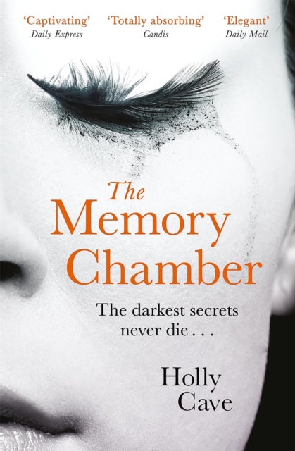 The Memory Chamber, Paperback / softback Book