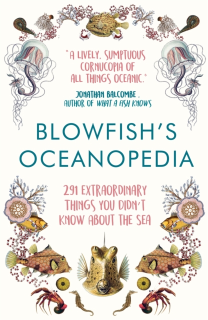 Blowfish's Oceanopedia : 291 Extraordinary Things You Didn't Know About the Sea, Paperback / softback Book