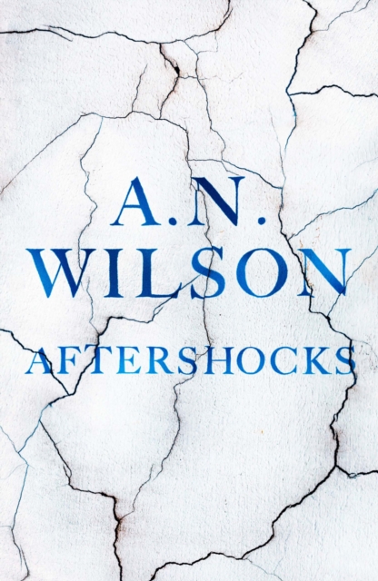 Aftershocks, Hardback Book