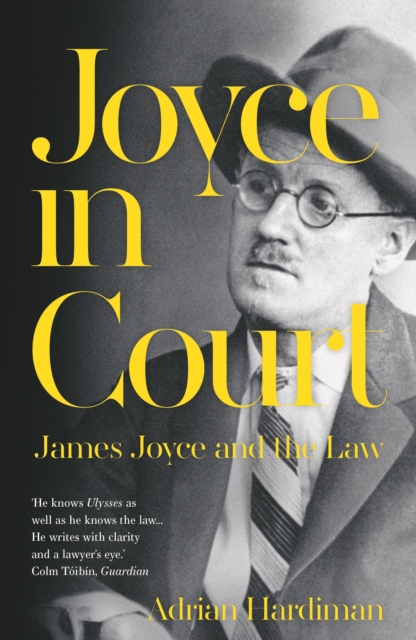 Joyce in Court, Paperback / softback Book
