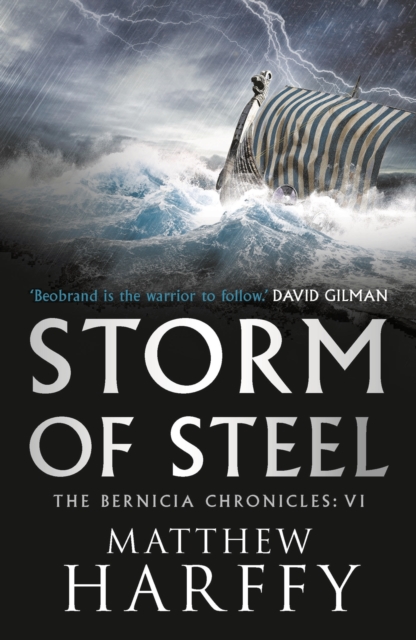 Storm of Steel, Paperback / softback Book
