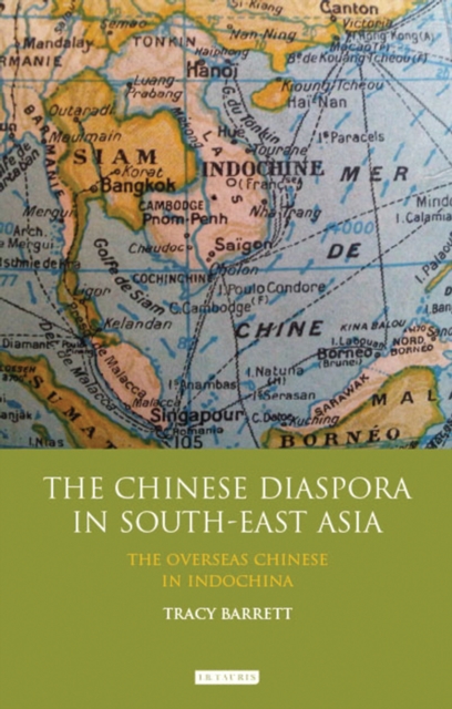 The Chinese Diaspora in South-East Asia : The Overseas Chinese in Indochina, EPUB eBook
